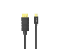 Unitek Kabel mini DisplayPort - DisplayPort 2m - 350159 - zdjęcie 1